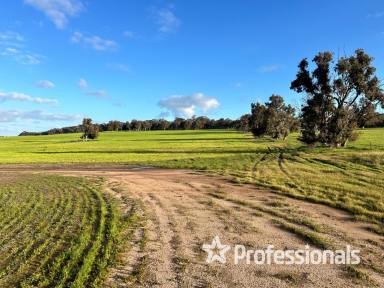 Farm For Sale - WA - Wedgecarrup - 6315 - "Stephens Block"  (Image 2)