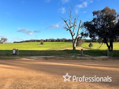 Farm For Sale - WA - Wedgecarrup - 6315 - "Stephens Block"  (Image 2)