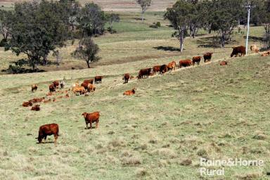 Farm For Sale - QLD - Goodger - 4610 - Stunningly Renovated Homestead on 320 Fertile Acres  (Image 2)