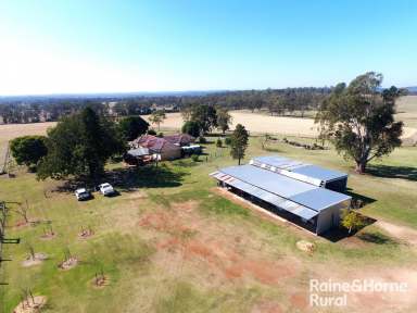 Farm For Sale - QLD - Goodger - 4610 - Stunningly Renovated Homestead on 320 Fertile Acres  (Image 2)