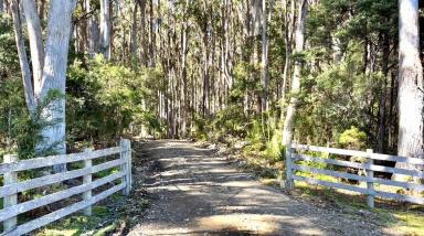 Farm For Sale - TAS - Port Arthur - 7182 - "Sea and Tree Changers" Is this the life change you've been dreaming of?  (Image 2)