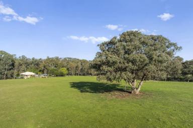 Farm For Sale - VIC - Euroa - 3666 - Architecturally Designed with Mid Century Elements on 40 Acres - Just 3 Minutes from Euroa Township  (Image 2)