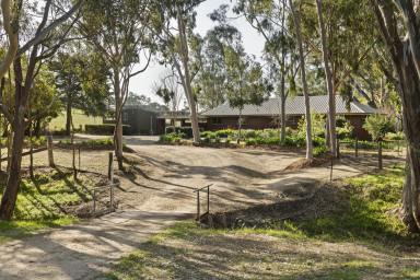 Farm For Sale - VIC - Euroa - 3666 - Architecturally Designed with Mid Century Elements on 40 Acres - Just 3 Minutes from Euroa Township  (Image 2)