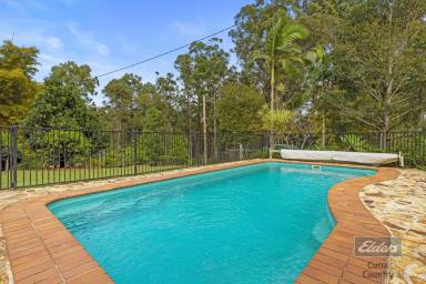 Farm For Sale - QLD - Glenwood - 4570 - COMPLETE PRIVACY AND POOL!  (Image 2)