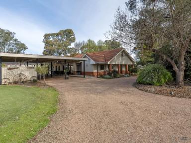 Farm Auction - VIC - Broken Creek - 3673 - Stunning Rural Property for Sale on the Broken Creek  (Image 2)