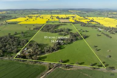 Farm Auction - VIC - Broken Creek - 3673 - Stunning Rural Property for Sale on the Broken Creek  (Image 2)