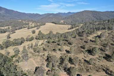 Farm For Sale - NSW - Braidwood - 2622 - "OBAN CREEK"  (Image 2)