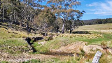 Farm For Sale - NSW - Mount Lambie - 2790 - Mount Lambie Solitary Escape - 42.9 Ha  (Image 2)