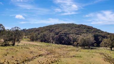 Farm For Sale - NSW - Mount Lambie - 2790 - Mount Lambie Solitary Escape - 42.9 Ha  (Image 2)