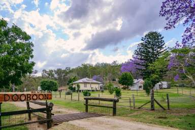 Farm For Sale - QLD - Boyne Valley - 4680 - Grazing Property with a few Unexplored Gems  (Image 2)