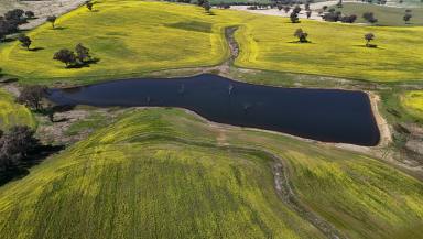 Farm For Sale - NSW - Cowra - 2794 - Location, Soil & Rainfall  (Image 2)