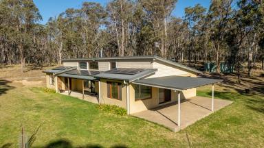 Farm Auction - NSW - Armidale - 2350 - Dual Living Opportunity with Bushland Ambience  (Image 2)