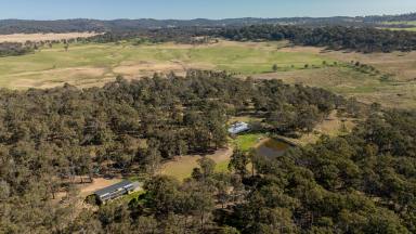 Farm Auction - NSW - Armidale - 2350 - Dual Living Opportunity with Bushland Ambience  (Image 2)