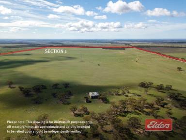 Farm For Sale - SA - Peep Hill - 5374 - Cropping and Grazing Land/ Suit Farm Expansion/ Suit Weekend Getaway Allotments/ Excellent Home Sites.  (Image 2)