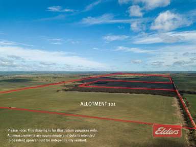 Farm For Sale - SA - Peep Hill - 5374 - Cropping and Grazing Land/ Suit Farm Expansion/ Suit Weekend Getaway Allotments/ Excellent Home Sites.  (Image 2)