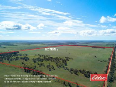 Farm For Sale - SA - Peep Hill - 5374 - Cropping and Grazing Land/ Suit Farm Expansion/ Suit Weekend Getaway Allotments/ Excellent Home Sites.  (Image 2)