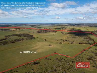 Farm For Sale - SA - Peep Hill - 5374 - Cropping and Grazing Land/ Suit Farm Expansion/ Suit Weekend Getaway Allotments/ Excellent Home Sites.  (Image 2)