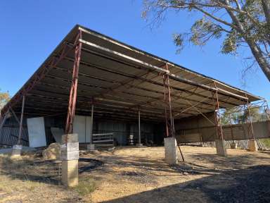 Farm For Sale - NSW - Braidwood - 2622 - Ultimate camping/ hunting block  or why not fly in?  (Image 2)