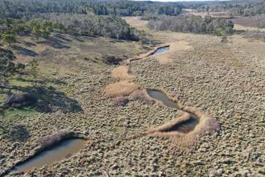 Farm For Sale - NSW - Braidwood - 2622 - Ultimate camping/ hunting block  or why not fly in?  (Image 2)