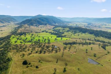 Farm For Sale - NSW - Braidwood - 2622 - "Moreton Rise"  (Image 2)