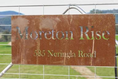 Farm For Sale - NSW - Braidwood - 2622 - "Moreton Rise"  (Image 2)