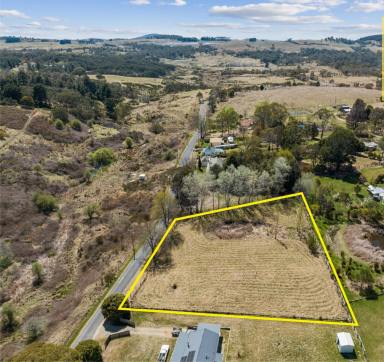 Farm For Sale - NSW - Majors Creek - 2622 - Why not grab a block and build!!  (Image 2)