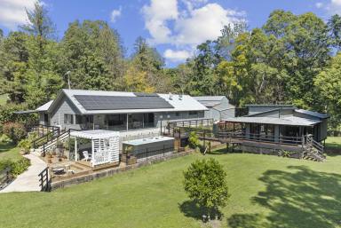 Farm For Sale - NSW - Tyalgum - 2484 - Escape to Your Private Oasis  (Image 2)