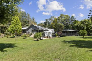 Farm For Sale - NSW - Tyalgum - 2484 - Escape to Your Private Oasis  (Image 2)