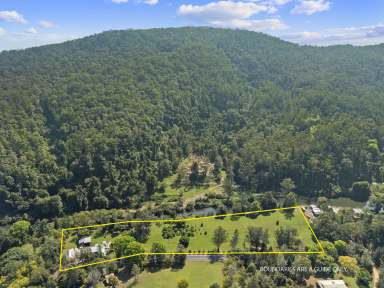 Farm For Sale - NSW - Tyalgum - 2484 - Escape to Your Private Oasis  (Image 2)