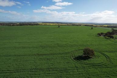 Farm For Sale - WA - Kauring - 6302 - "Greenhills Farm"  590 Cubbine Rd, Kauring                           382.64ha (945.12acres)  (Image 2)