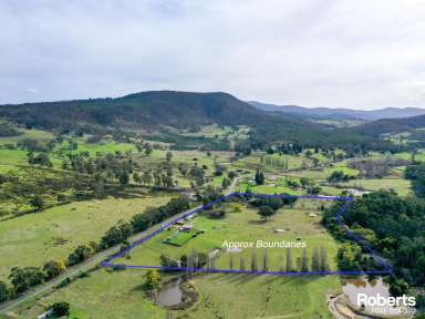 Farm For Sale - TAS - Westerway - 7140 - A Piece of Rural Paradise  (Image 2)