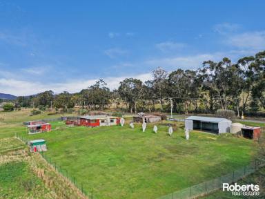 Farm For Sale - TAS - Westerway - 7140 - A Piece of Rural Paradise  (Image 2)