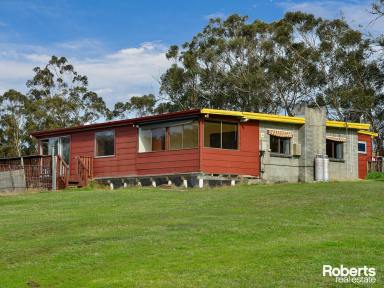 Farm For Sale - TAS - Westerway - 7140 - A Piece of Rural Paradise  (Image 2)