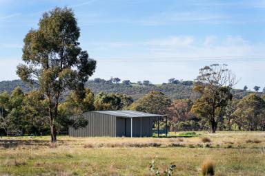 Farm For Sale - VIC - Shelbourne - 3515 - A Perfect Blend of Space and Convenience  (Image 2)