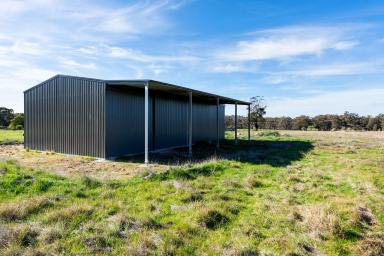 Farm For Sale - VIC - Shelbourne - 3515 - A Perfect Blend of Space and Convenience  (Image 2)