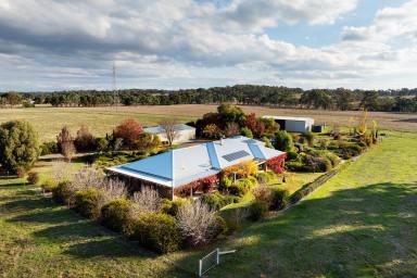 Farm For Sale - VIC - Muckleford - 3451 - The Best of Both  (Image 2)