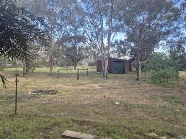 Farm Auction - SA - Lewiston - 5501 - Brick Home on 9266m2 Allotment  (Image 2)