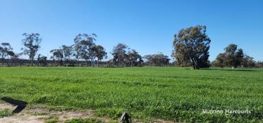 Farm For Sale - WA - Brookton - 6306 - "Mattingly Road", Brookton  (Image 2)