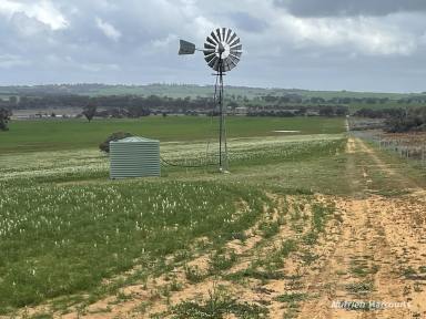 Farm For Sale - WA - Brookton - 6306 - "Mattingly Road", Brookton  (Image 2)