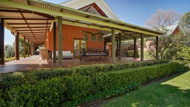 Farm For Sale - NSW - Rawsonville - 2830 - A blue-ribbon rural lifestyle property  (Image 2)