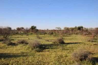 Farm Tender - NSW - Broughams Gate - 2880 - Mulga Valley Station  (Image 2)