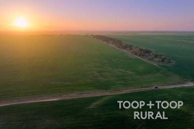 Farm For Sale - SA - Taldra - 5311 - Scale and versatility in the Mallee  (Image 2)