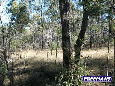 Farm For Sale - QLD - Coverty - 4613 - 101 acres of natural bushland  (Image 2)