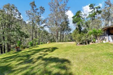 Farm For Sale - NSW - Laguna - 2325 - Eclectic Studio Retreat Full of Charm & Character  (Image 2)