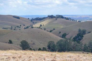 Farm Sold - VIC - Dollar - 3871 - High Rainfall Grazing  (Image 2)