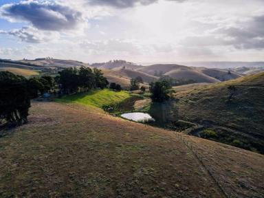 Farm Sold - VIC - Dollar - 3871 - High Rainfall Grazing  (Image 2)