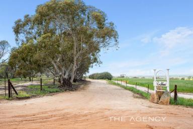 Farm For Sale - WA - Kellerberrin - 6410 - "Escape to the Country"  (Image 2)