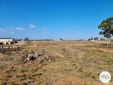 Farm For Sale - VIC - Merbein - 3505 - 11.98 Hectares (approx.)  (Image 2)