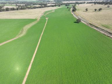 Farm Auction - NSW - Merrygoen - 2831 - Outstanding Central West Mixed Farming  (Image 2)