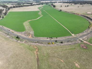 Farm Auction - NSW - Merrygoen - 2831 - Outstanding Central West Mixed Farming  (Image 2)